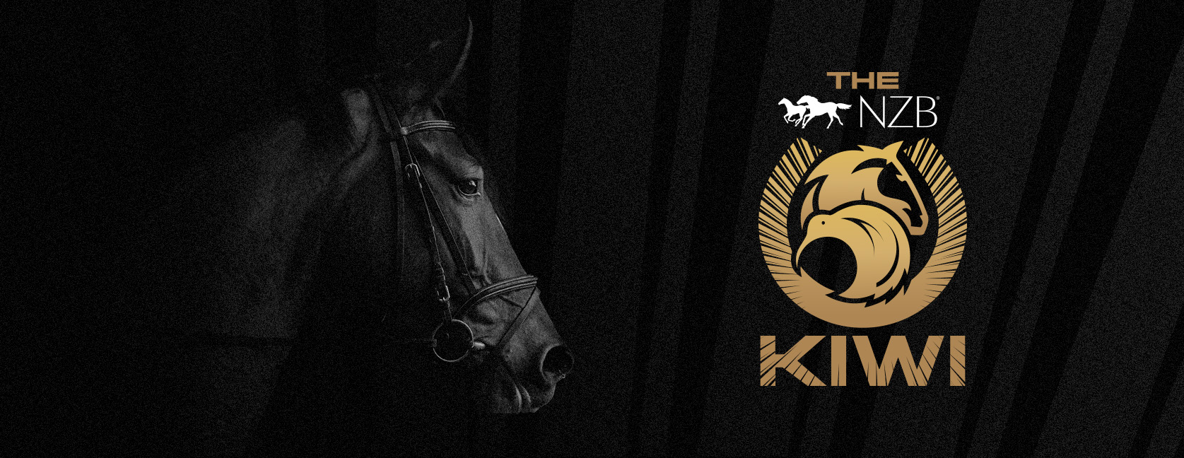 The NZB Kiwi - The Kiwi Race